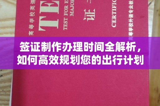 漳州签证制作办理时间全解析，如何高效规划您的出行计划