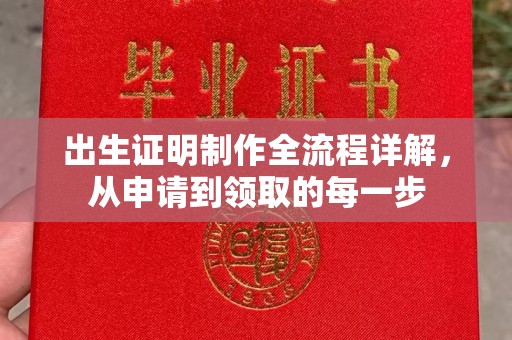 漳州出生证明制作全流程详解，从申请到领取的每一步