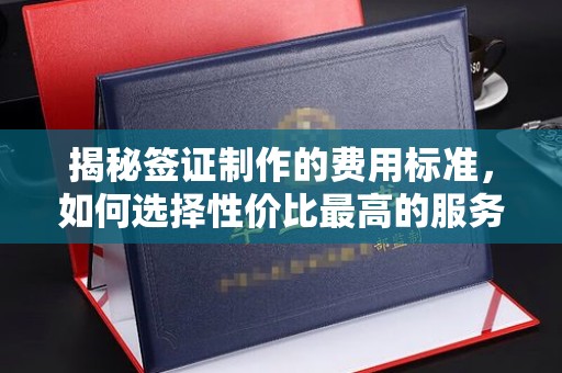 漳州揭秘签证制作的费用标准，如何选择性价比最高的服务？