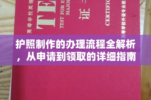 漳州护照制作的办理流程全解析，从申请到领取的详细指南