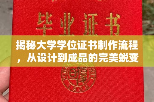 漳州揭秘大学学位证书制作流程，从设计到成品的完美蜕变