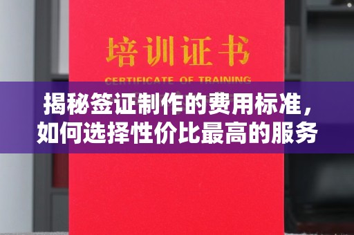 漳州揭秘签证制作的费用标准，如何选择性价比最高的服务？