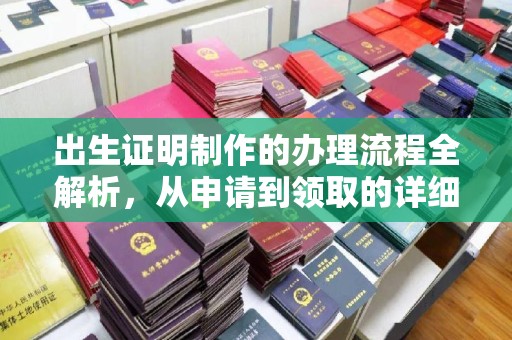 漳州出生证明制作的办理流程全解析，从申请到领取的详细指南
