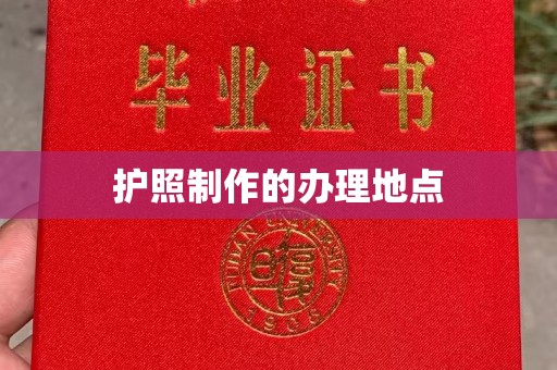 漳州护照制作的办理地点