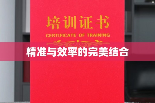 漳州精准与效率的完美结合