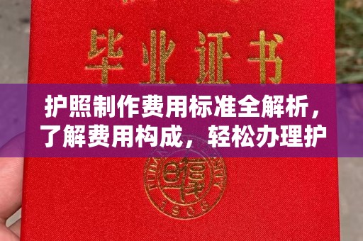 漳州护照制作费用标准全解析，了解费用构成，轻松办理护照