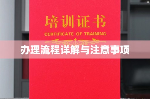 漳州办理流程详解与注意事项
